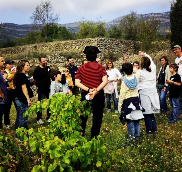  Führung durch unsere Weinplantage 